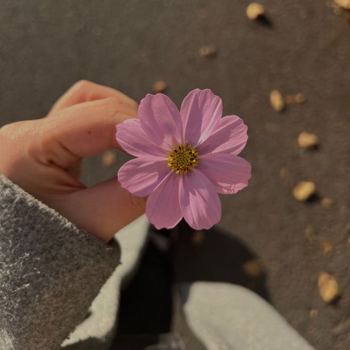 Profile Picture of Hazel (@blogsby_hazel1) on Tiktok
