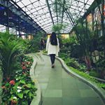 Profile Picture of clarissa Martinez (@marinezclarissa) on Instagram