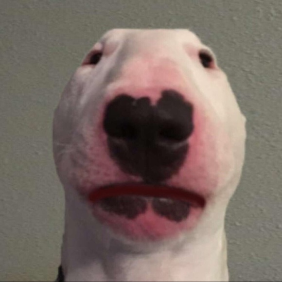 Profile Picture of Madeline Boyko (@madelineboyko) on Poshmark