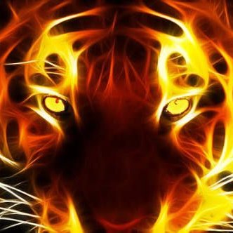 Profile Picture of Pedro Zamarripa (@PedroZamarrip15) on Twitter