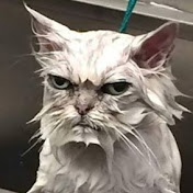 Profile Picture of Kierkegaard (@kyotaiken) on Youtube