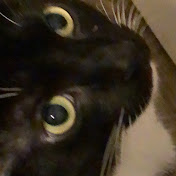 Profile Picture of T Chaney (@tchaney3184) on Youtube