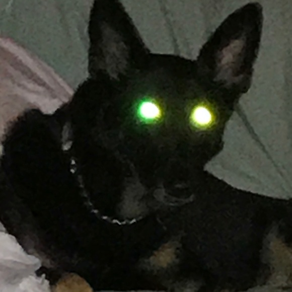 Profile Picture of Tara Hoffay (@tarafionaa) on Poshmark