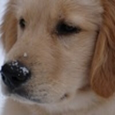 Profile Picture of Matthew Tice (@MattyTice) on Twitter