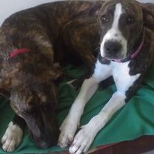 Profile Picture of Josh Ashford (@f65681de4e7e4da) on Twitter