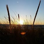 Profile Picture of Hilary Boyce (@hilboytoo) on Instagram