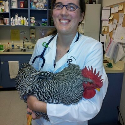 Profile Picture of Chick Doc_15 (@ElizabethBeilke) on Twitter