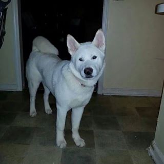 Profile Picture of Joel Gore (@Joel-Gore) on Facebook