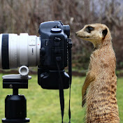 Thomas Fietzek - Youtube Profile Picture of Thomas Fietzek (@thomasfietzek5857) on Youtube