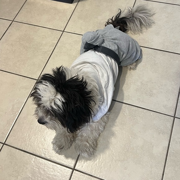 Profile Picture of Erik Erik (@erik524) on Poshmark