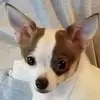 Profile Picture of Fred Duel (@fredduel) on Tiktok