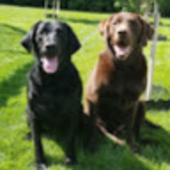 Profile Picture of Danika Schultz (@danika_schultz) on Poshmark