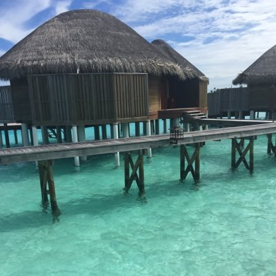 Profile Picture of L.Schillinger (@laurenceSchill) on Twitter