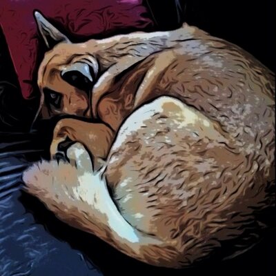 Profile Picture of Matt Albaugh (@malbaugh) on Twitter