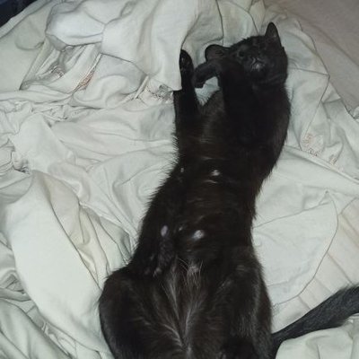 Profile Picture of Tami Stark (@TamiStark93) on Twitter