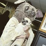 Profile Picture of Bonnie Buffington (@bonniebuffalo) on Instagram