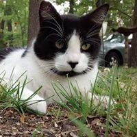 Profile Picture of Hope Cates (@hope-cates) on Quora