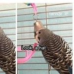 Profile Picture of Jesse Sackett (@jessesackett) on Instagram