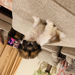 Profile Picture of Anecia Robinson (@anecia_robinson13) on Instagram