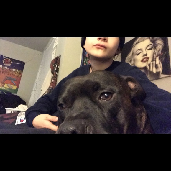 Profile Picture of Declam Donleavy (@declan1donleavy) on Poshmark