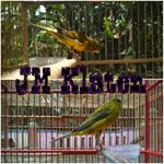 Profile Picture of Joy Morrison (@jm_klaten) on Instagram