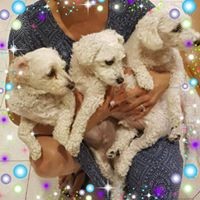 Profile Picture of Litsa Kamateros (@litsa-kamateros) on Quora