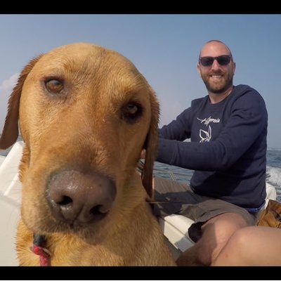 Profile Picture of Dave Bull (@d_a_v_e_bull) on Twitter