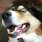 Profile Picture of Robin Karras (@robstar_der_einzig_ware) on Instagram