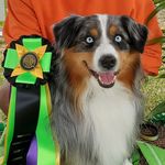 Profile Picture of Jeff Craycraft (@moonlightwondermas) on Instagram