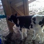 Profile Picture of Brian Tolbert (@tolbert.brian) on Instagram
