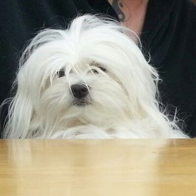 Profile Picture of Alice Browne (@alicebrowne3) on Twitter