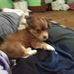 Profile Picture of Pamela Englehart (@pamela.englehart.100) on Facebook