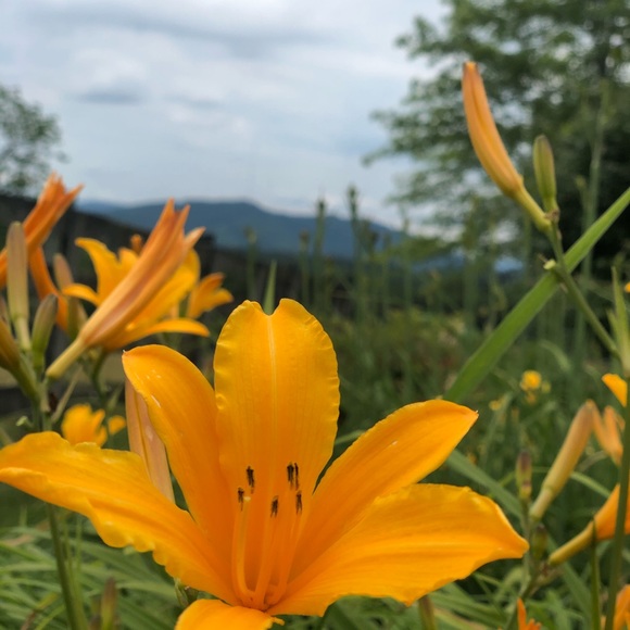 Profile Picture of Brenda Beisser (@bjbeisser) on Poshmark