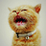 Profile Picture of 馬修-沈 (@馬修-沈) on Flickr