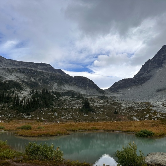 Profile Picture of Gabby Napoleone (@g_nap) on Poshmark