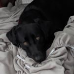 Profile Picture of Devona Jackson (@haven.jackson.2018) on Instagram