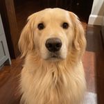 Profile Picture of Michael Briody (@mjbriody6) on Instagram