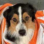 Profile Picture of Stephen T. Skillman (@dad.skilly) on Instagram