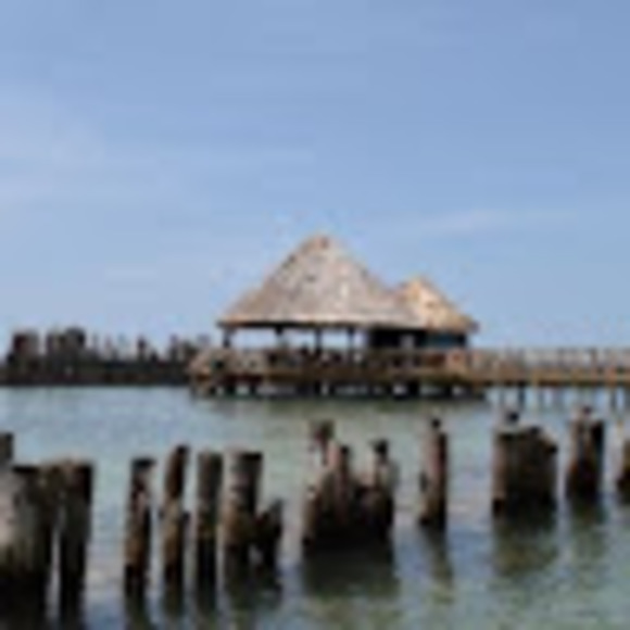 Profile Picture of Toniann Fuschetto (@bellat723) on Poshmark