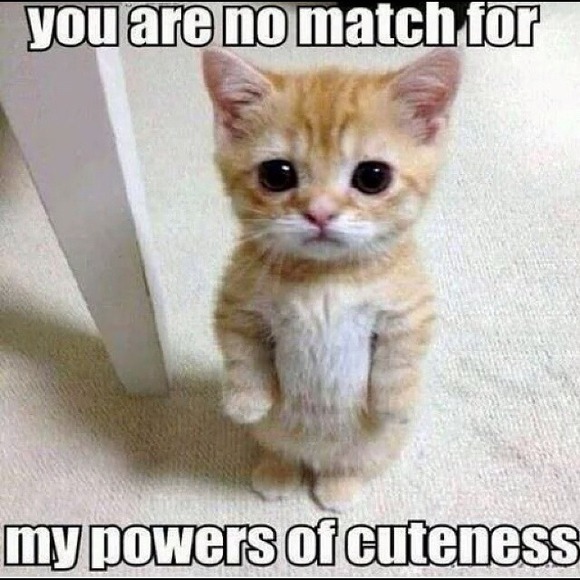 Profile Picture of Heejung Yoo (@heejung) on Poshmark