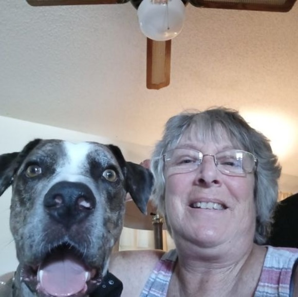 Profile Picture of Nancy Zuber (@nancy_zuber) on Poshmark