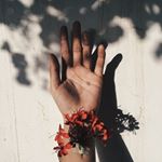 Profile Picture of Carol 📚🖊 (@fastwritten) on Instagram