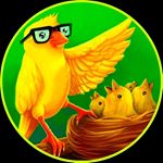 Profile Picture of AVIARIO JOSE GREGORIO (@aviariojosegregorio) on Instagram