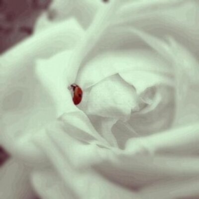 Profile Picture of *♚♡ غويــدُ 1998ﻣـ (@AishaStephens15) on Twitter