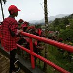 Profile Picture of It's•Raplee 🥀 (@raplee._) on Instagram