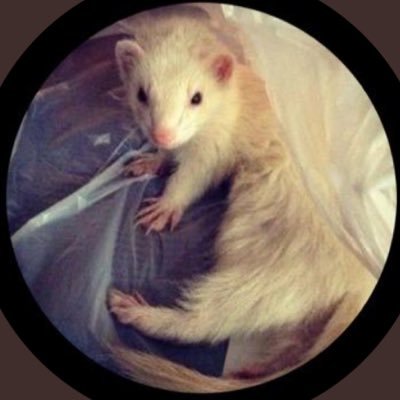 Profile Picture of Robert Dennis Bacon (@MrSalt885) on Twitter