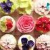Profile Picture of Candy Shultz (@candy.shultz.378) on Facebook
