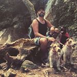 Profile Picture of Tony Serrano (@tony_fox_dobermans) on Instagram