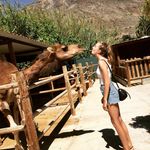 Profile Picture of Sarah Schæffer (@schafiiii) on Instagram