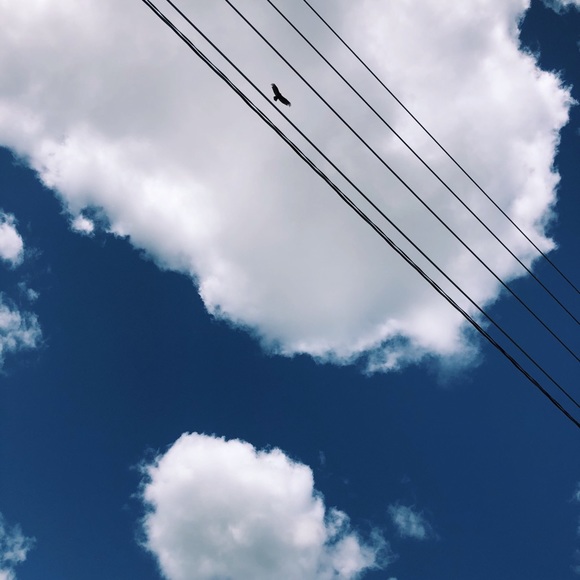 C Belluzzi - Poshmark Profile Picture of C Belluzzi (@cbelluzzi) on Poshmark